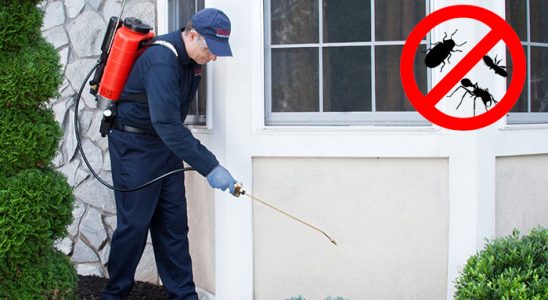 Gölpazarı Tahtakurusu İlaçlama böcek ilaçlama ve haşere kontrolü — ilaclama-tr.com